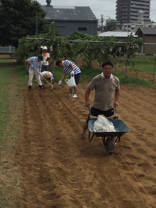 秋ソバの播種しました。29.7.29